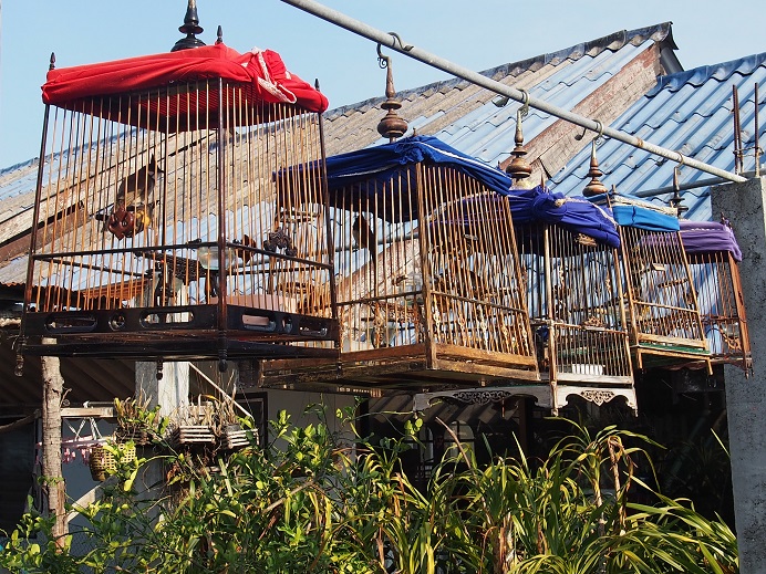 VILLAGE GIPSY PHANG NGA    